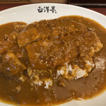 用户对于旨辛カレー専門店 白洋亭的评论图
