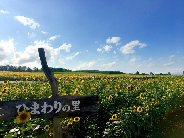 用户对于道の駅 サンフラワー北竜的评论图