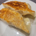 用户对于餃子の王様 龍吟 ダイバーシティ店的评论图