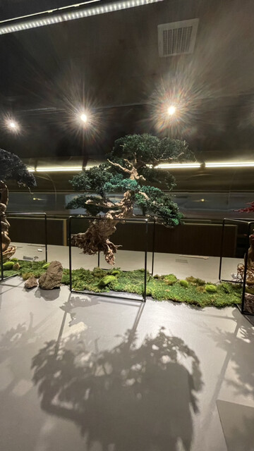 用戶對於鮨6的評論高清圖