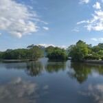 用户对于沼の家的评论图