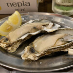 用户对于大厚岸的评论图