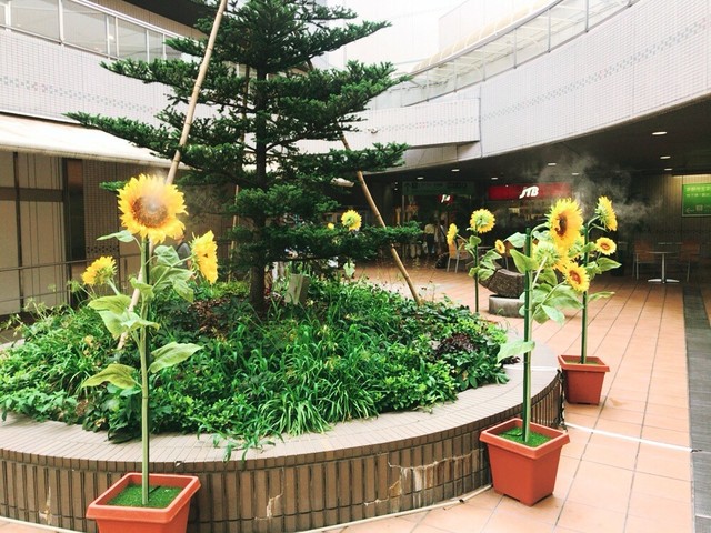 用戶對於KOHYO 北大路店的評論高清圖