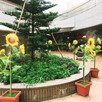用戶對於KOHYO 北大路店的評論圖