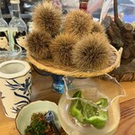 用戶對於須崎屋台かじしか的評論圖