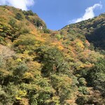 用戶對於かつぜん的評論圖