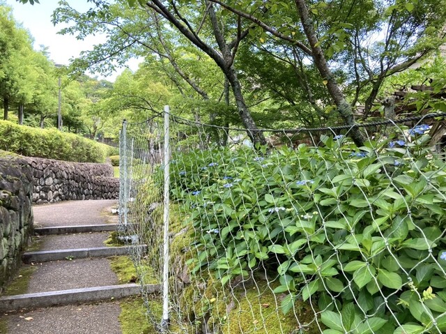 用户对于赤おに的评论高清图