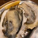 用户对于大厚岸的评论图