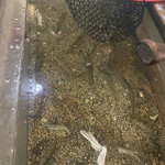 用戶對於魚庄 糸島 大原店的評論圖