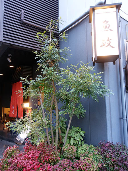 用戶對於魚政的評論圖