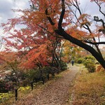 用戶對於森のカフェ的評論圖