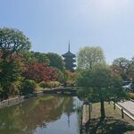 用户对于すし成的评论图