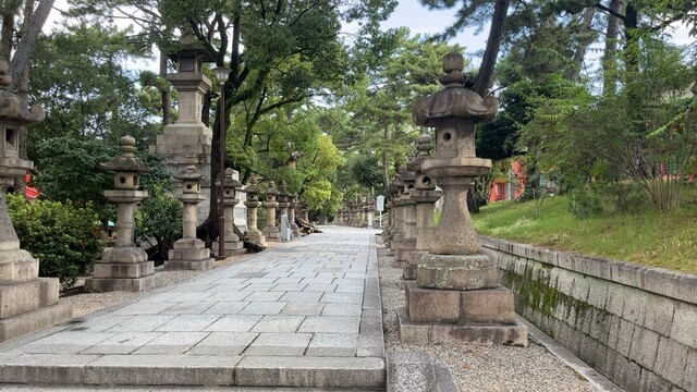 用户对于ネースト的评论高清图