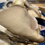 用戶對於VIGO OYSTERBAR的評論圖