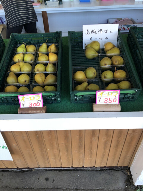 用戶對於さくらんぼ山観光農園的評論高清圖