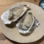 用户对于TOTOROU 浪漫的评论图