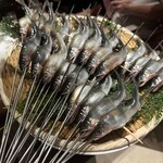 User's review image for スガラボヴィー