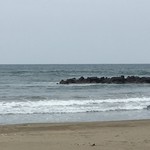 用户对于海月楼的评论图