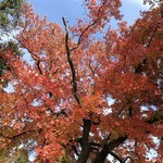 用戶對於キョーワズ珈琲 北山店的評論圖