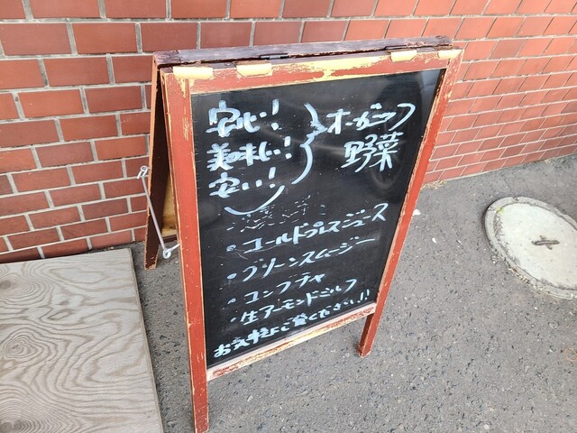 User's recommendation image for サラダーマン