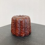 User's review image for Camphora