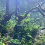 用戶對於AQUA GARDEN KYOTO的評論圖