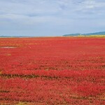 User's review image for レストハウスところ