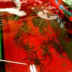 用戶對於かに問屋的評論圖