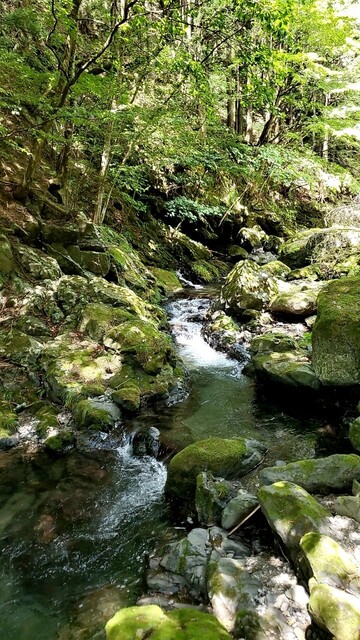 用户对于ちわき的评论高清图