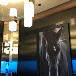 用户对于Ｌ的评论图