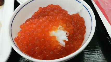 用戶對於ホテル知床的評論圖