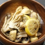 User's review image for START BAR