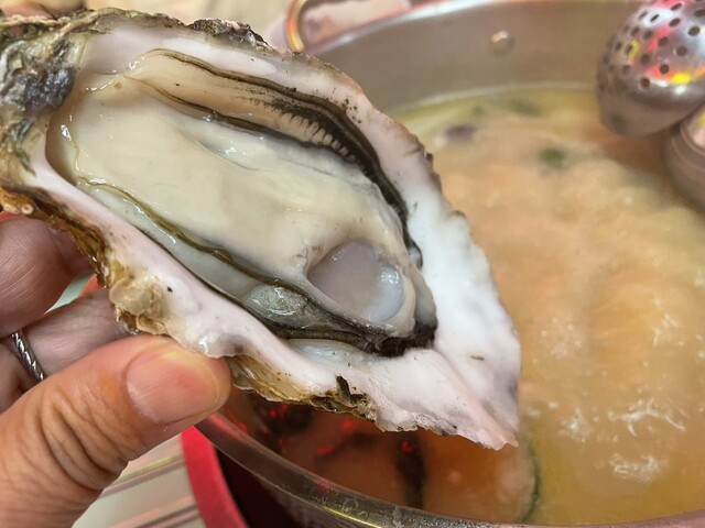 用户对于香港火鍋専門店 鴻運 高田馬場的评论高清图