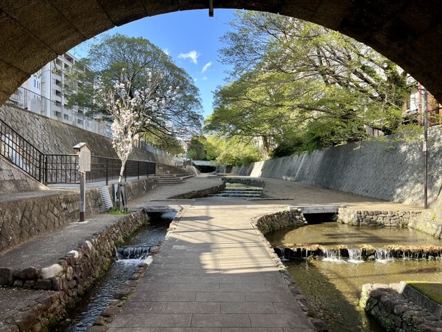 User's recommendation image for ヒルランタン