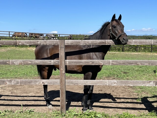 User's recommendation image for Yogibo Versailles Resort Farm CAFE