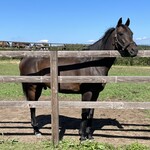 User's review image for Yogibo Versailles Resort Farm CAFE