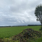 用户对于蕎麦の里 びばいろ的评论图