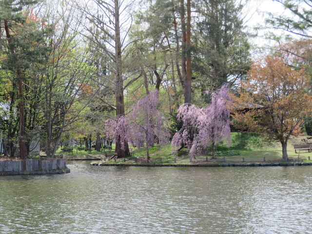 用户对于生姜ラーメン みづの的评论高清图