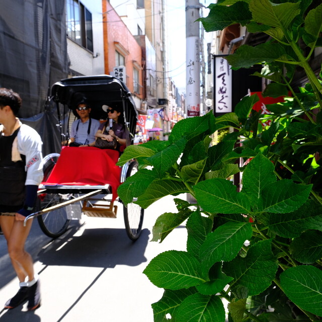 用戶對於レストラン東洋的評論高清圖