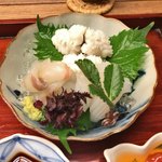用户对于山音的评论图