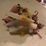 用户对于sacae的评论图