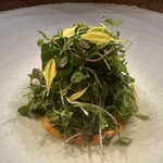 User's review image for ボニュ