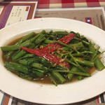 User's review image for BACKPACKER'S CAFE 旅人食堂  町田屋台店