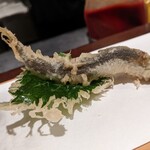 用户对于まる家的评论图