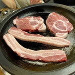 用戶對於黒門豚美人的評論圖