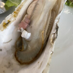 用戶對於dish-tokyogastronomycafe的評論圖