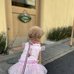 User's review image for Rikyu