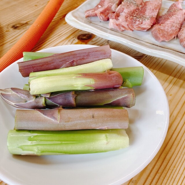 User's recommendation image for 軍川