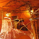 User's review image for orange otaru