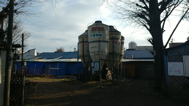 用户对于小泉牧場的评论高清图